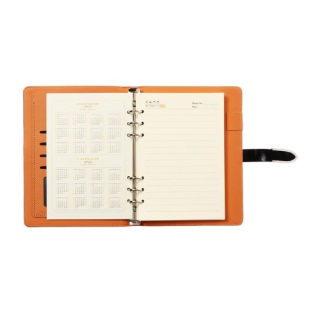 Organizer on the rings A5, 90 sheets in the ruler, with a stream, mix-35