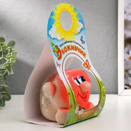 Growing gift Eco -Zhizhivchik "heart" mix-15