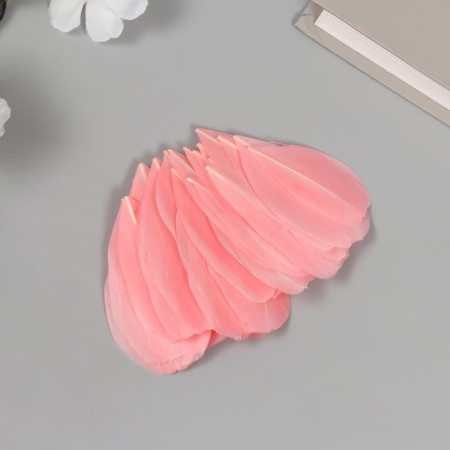 Decorative goose-pink-pink-pink pen. In the shape of a sheet set 40 pcs h = 5-7 cm