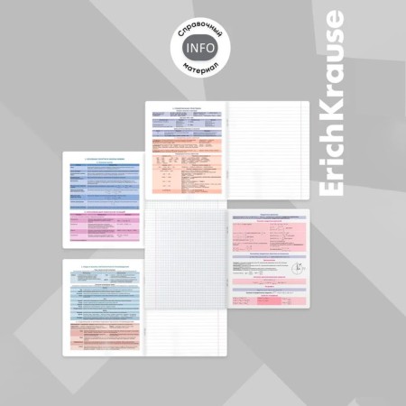 A set of subject notebooks 36 sheets, 12 pieces, Erichkrause "Timeline", coated cardboard, Blok OFSET 100%, information block-26