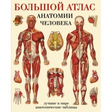 A large atlas of human anatomy. Makhiyanova E. B.
