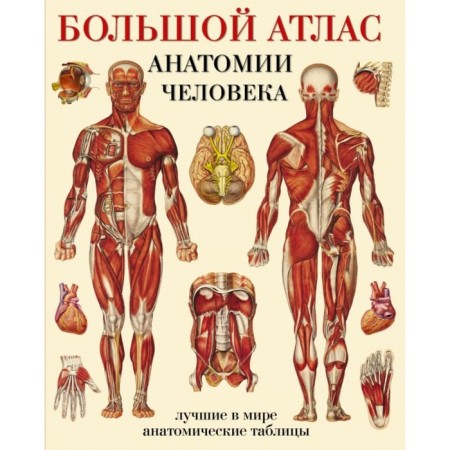 Большой атлас анатомии человека. Махиянова Е. Б.