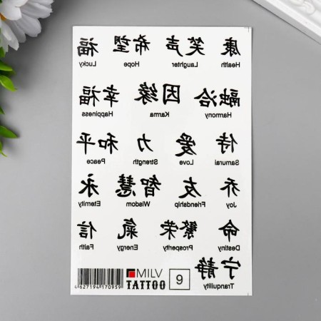 Tattoo on the body "Hieroglyphs" 10x15 cm