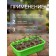 Package for seedlings, 540 ml, 8.9 × 14.5 cm, spanbond density 25 g/m², Greengo