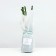 Seedling rosa wow, 1 pc, spring 2024