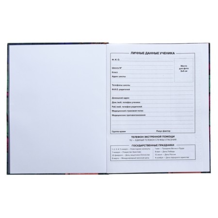 Universal Grade 1-11 Diary, 48 Graffiti sheets, integral cover, matte lamination, selective UV-fluid, congructor-4
