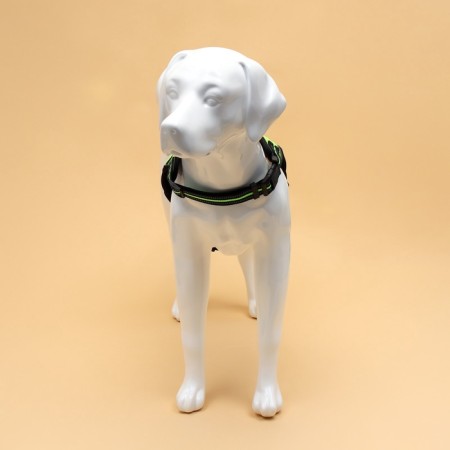 Cloll improved K7 soft reflective, size L, OG 64-86 cm, weight 18-27.5 kg, green-2