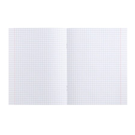 Subject subject calligrata top "animals", 48 sheets in the cage English, with reference material, cover coated cardboard, Uf-lak, block offset-2