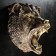 Suspension decor "Bear's head" bronze, 24x35x42cm