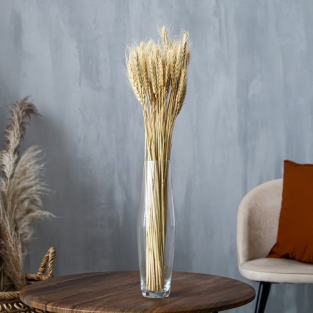 Dry Column of wheat, set 50 pcs., White color