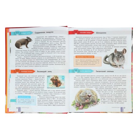 The Red Book of the World-3