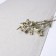 Serving Steenova Home Dominica, size 50x150 cm