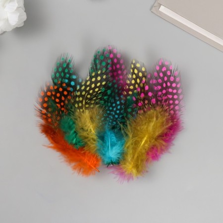 Pen's pen-pheasant "polka dots" set 15 pcs h = 8-13 cm