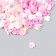 Decor for creativity plastic "carrots and paws" 20 g