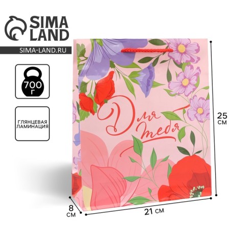 Gift package laminated, packaging, “for you”, ml 21 x 25 x 8 cm-2