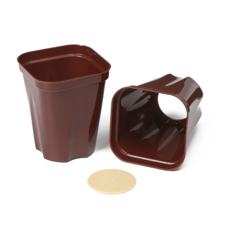 Set for seedlings: glasses of 250 ml (6 pcs.), Container 24 × 16 cm, mix-7
