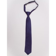 ISEE boys tie, purple color, red