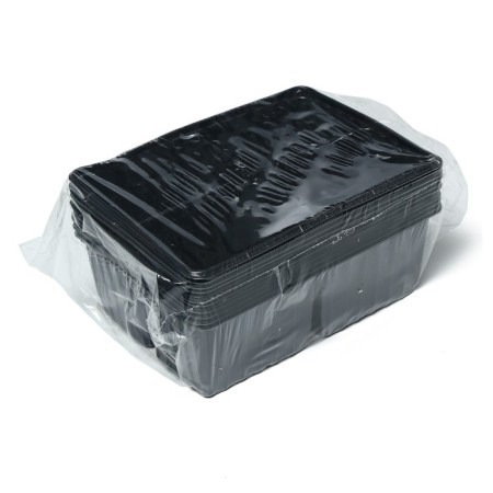 Cassette for seedlings, for 4 cells, 180 ml, plastic, black, 18 × 13 × 6 cm, in the set 10 cassettes, GreenGo-4