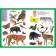 Animals. For children from 3 to 6 years old
