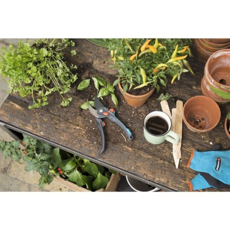 Planning coater, 10.6 "(27 cm), with plastic handles-2
