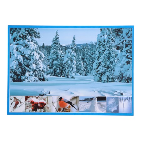 A set of posters "Seasons" with methodological recommendations, 4 posters, A3-2