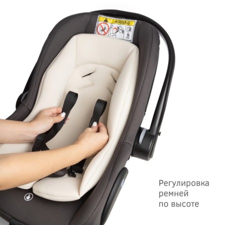 Car Seiger Siger "Daphni", group 0+, 0-13 kg, 0-1.5 years old, Marengo-4