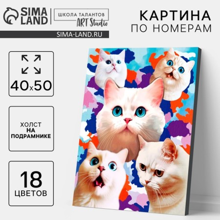 Picture on numbers on a canvas with a subframe "White kittens", 40 x 50 cm