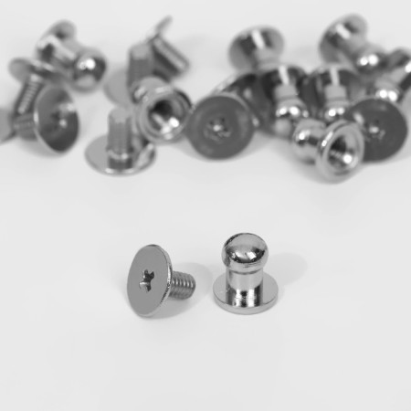 Holster screw d = 5/6 × 8 mm, 10 pcs, silver color-1
