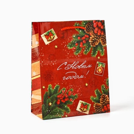 Package Gift New Year Laminated "New Year's History", MS 18 x 23 x 8 cm, New Year