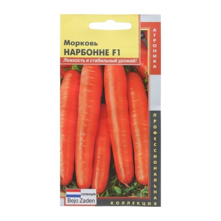 Seeds carrots Narbonne F1