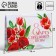 Package Gift Laminated Horizontal, Packaging, "Feast of Spring", L 28 x 38 x 9 cm