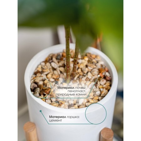 Decorative tree in a cement pot with a stand of MDF, 14 × 14 × 79 cm-2