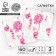 Paper Napkins "Flowers", 60 pcs in a bag, 3 layers