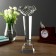 Souvenir Glass "Steel award - handshake" 26 cm