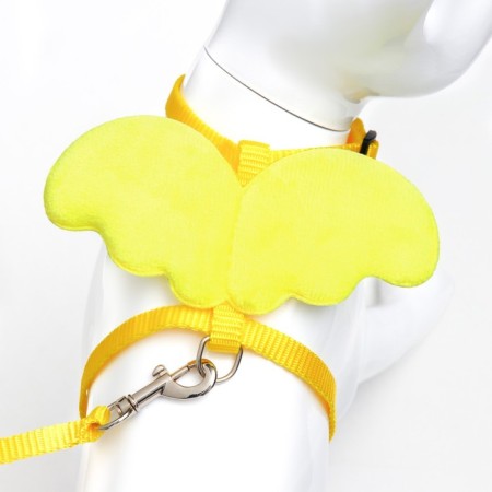 Angel ammunition set, size s, slope 20-34 cm, leash 120 x 1 cm, yellow-4