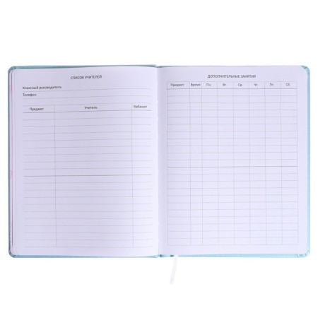 Universal diary for grade 1-11 Cotton Candy, solid cover, artificial leather, silkography, liesse, 80 g/m3-5