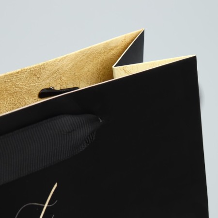 Gift Laminated Horizontal Package, Packaging, Present Just for You, 22 x 17.5 x 8 cm-4