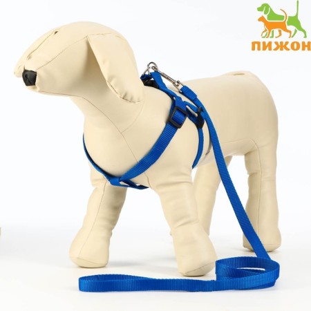Set "Basis", leash 120 x 1.5 cm, OG 32-46 cm, blue