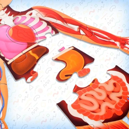 Set "My Body": Megapazil with a training book-6