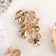Brooch "Flower Vine", Color Gold