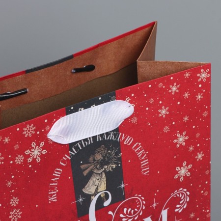 Craft vertical package “I wish happiness”, MS 18 x 23 x 10 cm, New Year-3