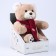 New Year's soft toy "Little Friend", a bear with a pink scarf