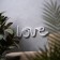 Neon sign "Love", 35x13 cm, aax3+usb, t/white