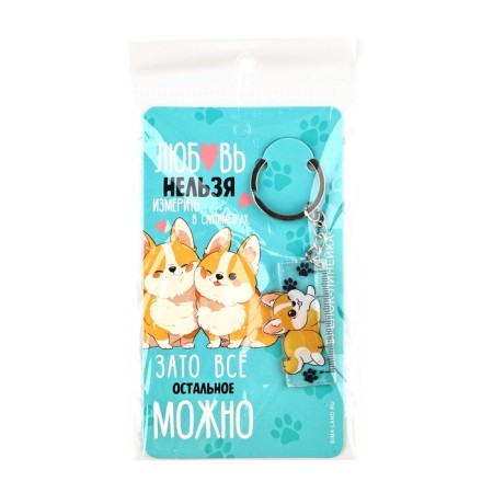 Keychain ruler for keys “love cannot be measured”, 2.4 x 10 cm-4