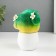 Growing gift Eco -Zhizhivchik "Cactus in a pot" mix
