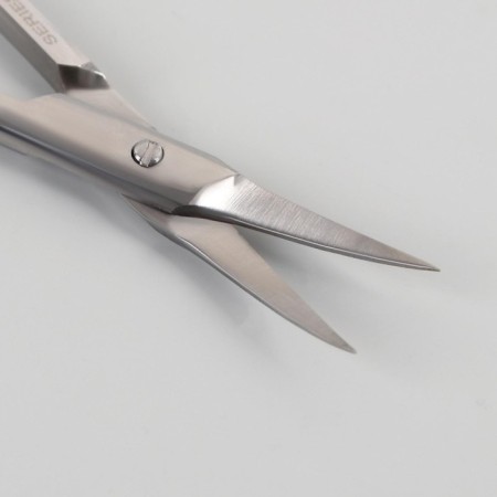 Scissors manicure, bent, 9.5 cm, in blist, silver color, b-555-s-sh-1