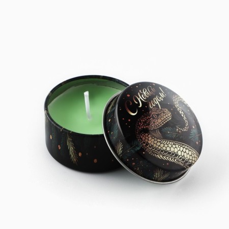 New Year. New Year's candle in the iron bank "New Year" aroma spruce branches, 4.8 cm-2