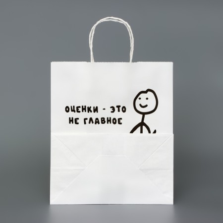 The package is white, with a joke, "Assessment is not the main", 24 x 14 x 28 cm-1