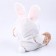 Soft toy "Bear in a hare costume", 20 cm