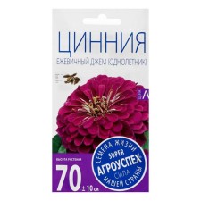 Cinnia flowers 